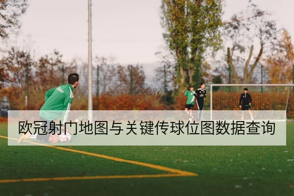 欧冠射门地图与关键传球位图数据查询